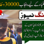 CM Punjab Honhaar Scholarships Phase 2