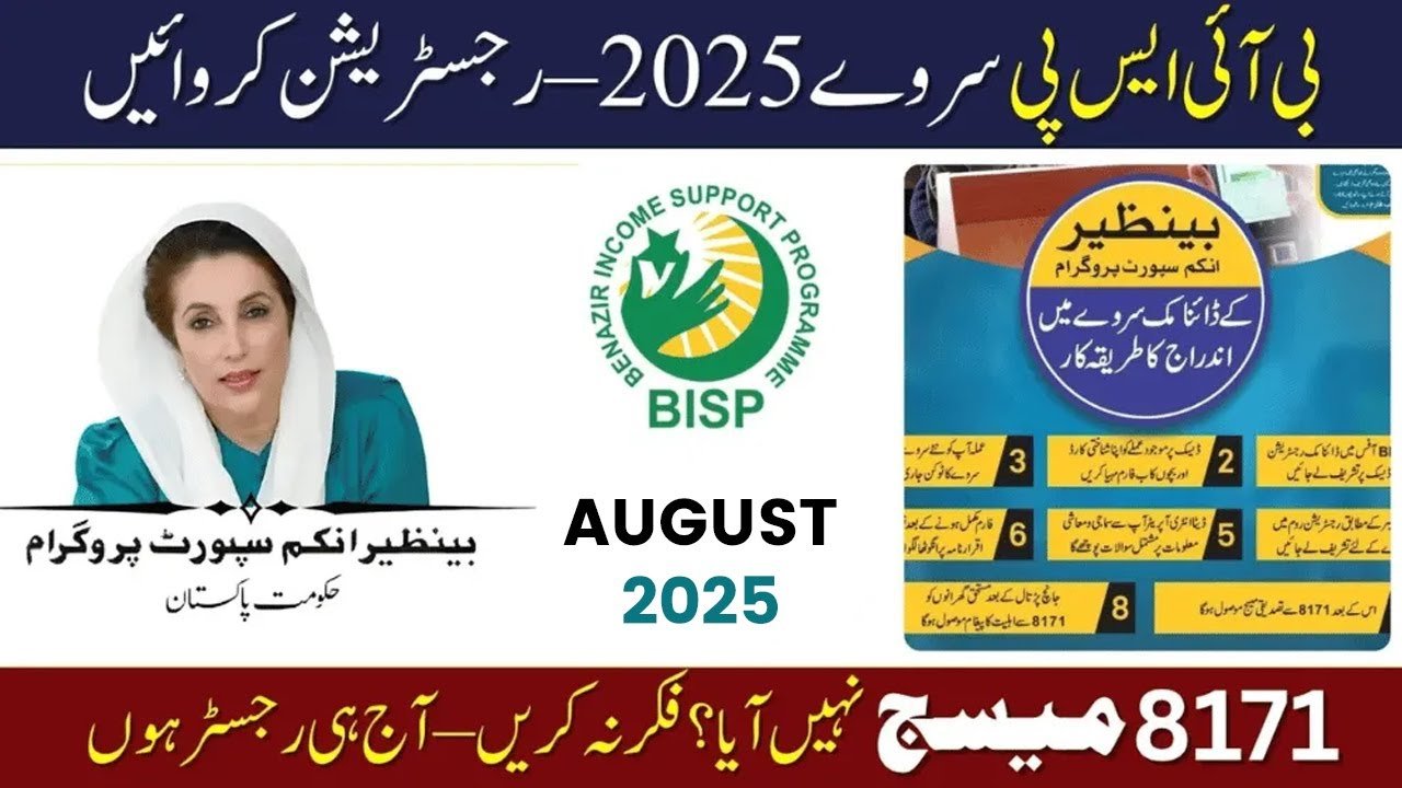 BISP Dynamic Survey 2025