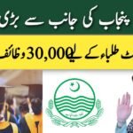 Punjab Government Announces 30,000 Scholarships for Undergraduate Students